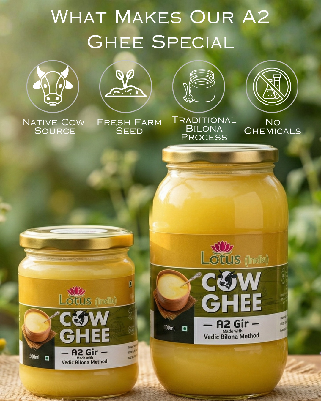 Lotus (India) A2 Gir Cow Ghee | Bilona Method | Pure Desi Cow Ghee | Made from Gir Cow Milk | Rich Aroma & Traditional Taste | 250ml/500ml / 1L
